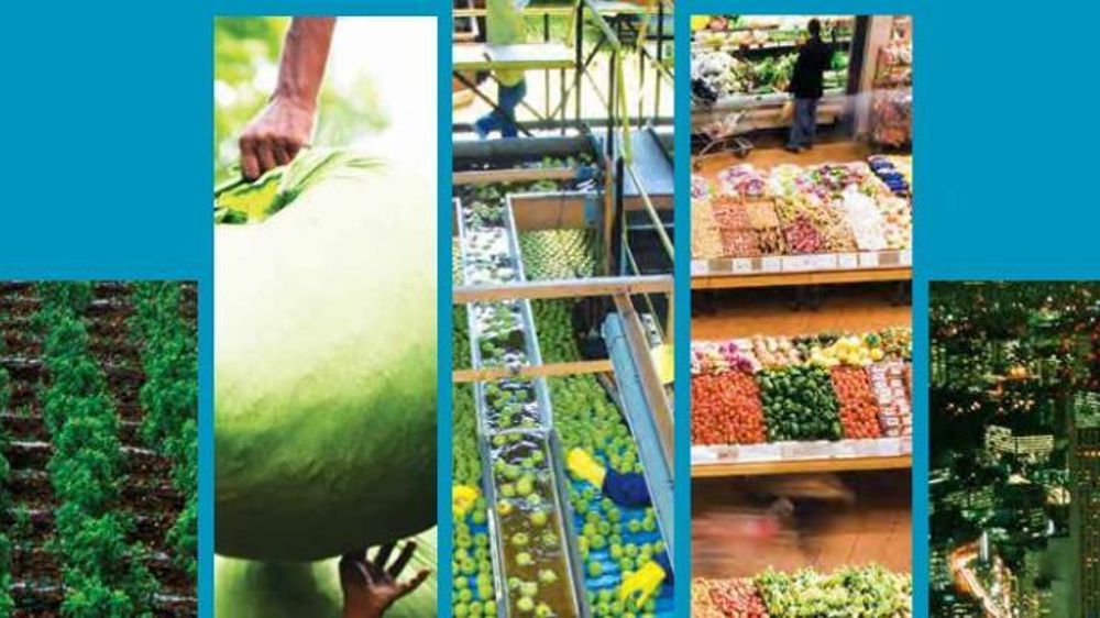 Illustration en couverture du rapport de l’Ifpri de 2017.